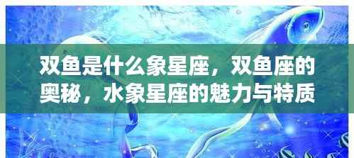 揭秘双鱼座，水象星座的魅力与独特奥秘