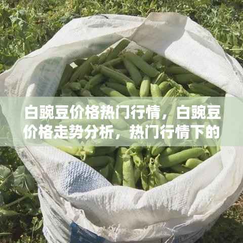 白豌豆价格走势分析及市场洞察，热门行情下的市场动态