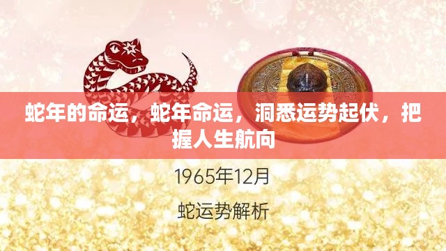 蛇年运势揭秘，洞悉命运起伏，把握人生航向的秘诀