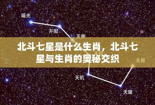 北斗七星与生肖的奥秘交织，探索七星生肖之谜