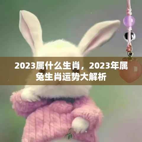 2023年属兔生肖运势全面解析