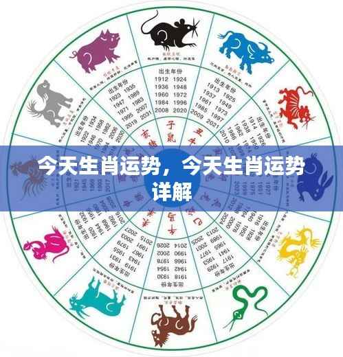 今日生肖运势详解，全方位解析你的生肖运势！