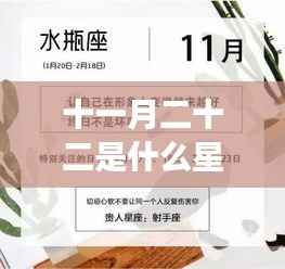 揭秘十一月二十二日的星座运势背后的神秘力量