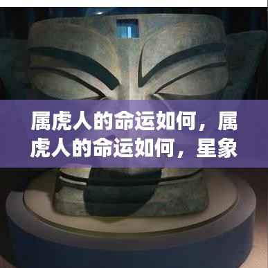 属虎人的命运走向，星象指引与人生轨迹探索