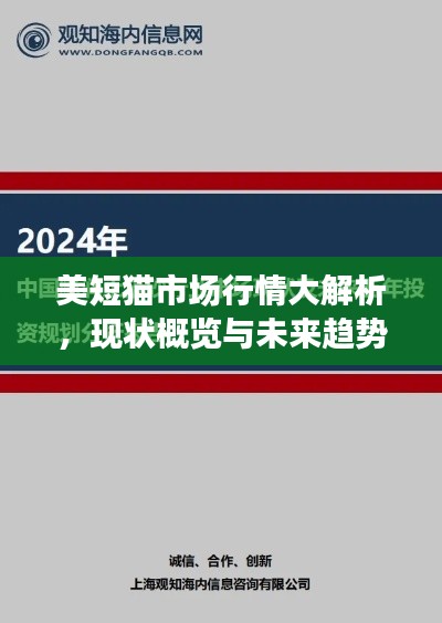 美短猫市场行情大解析，现状概览与未来趋势展望