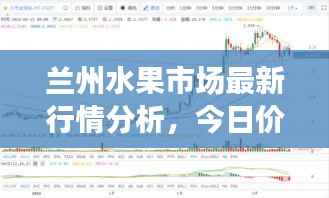 张皇无措 第5页