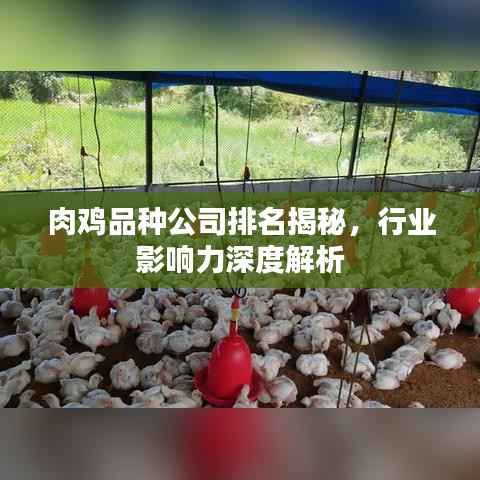 推襟送抱 第5页