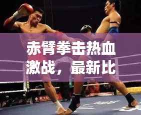 倦鸟思归 第4页