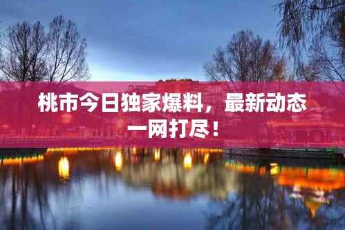 桃市今日独家爆料，最新动态一网打尽！
