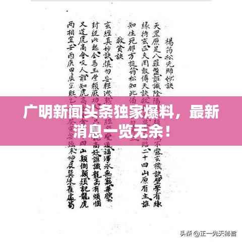 事必躬亲 第4页