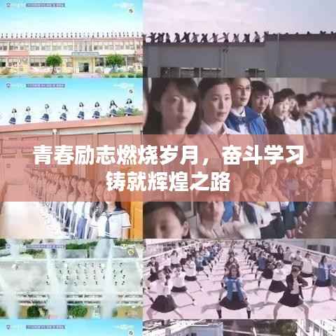 青春励志燃烧岁月，奋斗学习铸就辉煌之路