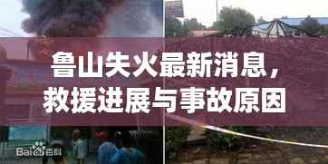 鲁山失火最新消息，救援进展与事故原因调查同步推进，视频曝光引关注