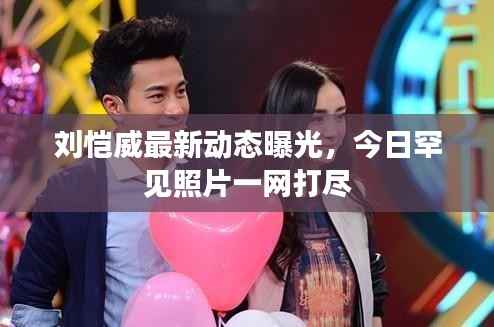 沉灶产蛙 第4页